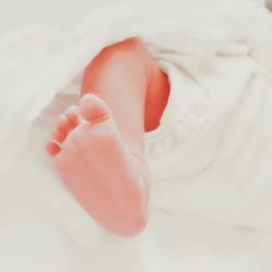 Low section of baby feet on bed