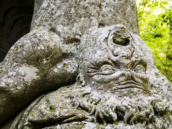 Close-up of old statue against tree trunk