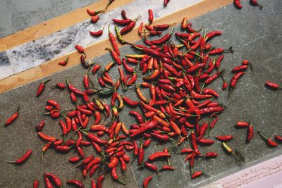 High angle view of red chili peppers in container