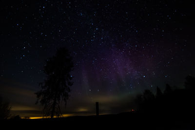 Low angle view of silhouette trees against sky at night