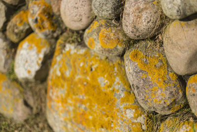 Close-up of rocks