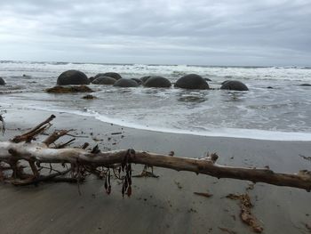 Scenic view of beach against sky