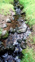 Stream flowing through rocks in forest