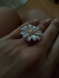 Close-up of hand holding white flower