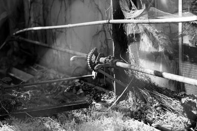 Close-up of horse cart