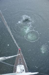 High angle view of whales by sailboat on sea during winter