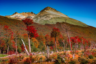 Scenic view of mountains against clear blue sky