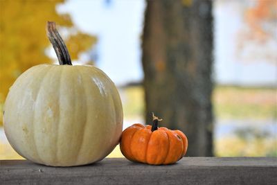 Close-up of pumpkins on table