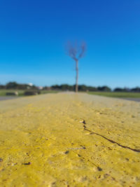 Scenic view of field against clear blue sky