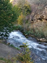 Stream flowing through rocks in forest