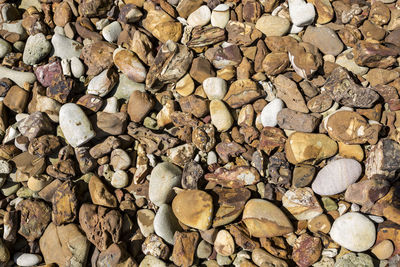 High angle view of stones