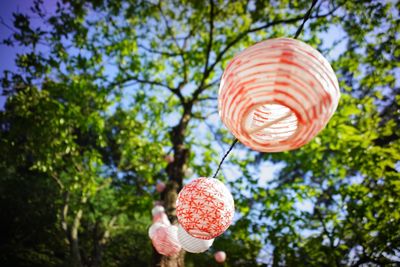 Low angle view of lantern hanging against trees