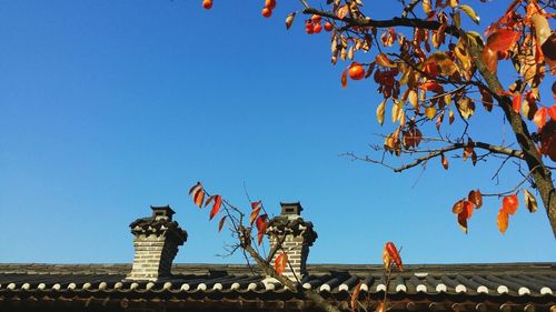 Low angle view of built structure against clear blue sky