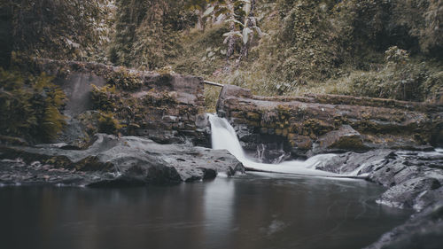 Scenic view of waterfall in forest