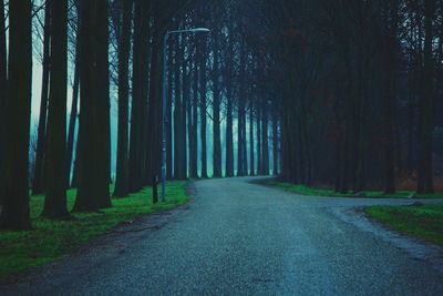 Road amidst bare trees in forest