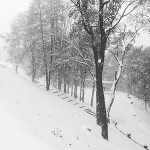 Bare trees on snow covered landscape