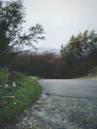 Road passing through forest
