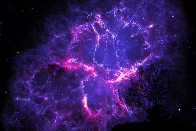 Low angle view of fireworks against sky at night
