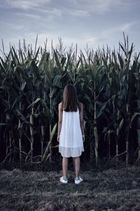 Rear view of woman standing in field