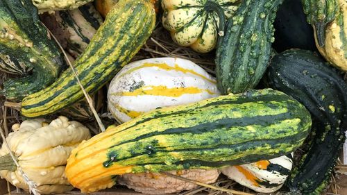 High angle view of pumpkins in market