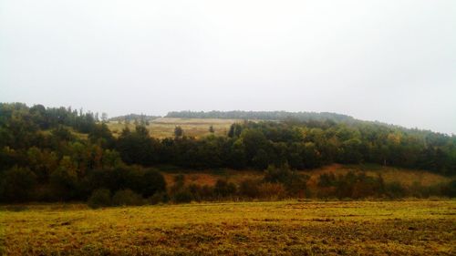 Trees on field against clear sky