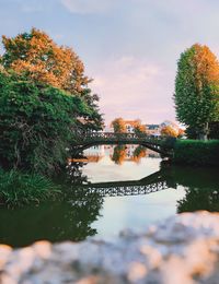 Reflection of trees in lake against sky during autumn