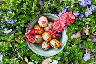 Directly above view of painted easter eggs in bowl amidst plants