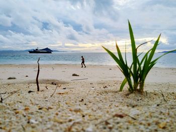 Scenic view of beach against sky