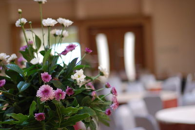 Close-up of flowers against blurred background