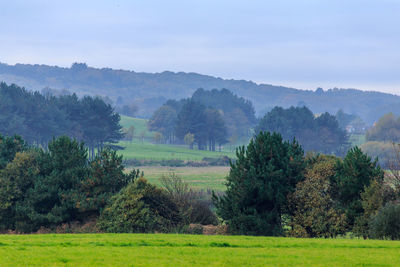 Scenic view of green landscape against sky