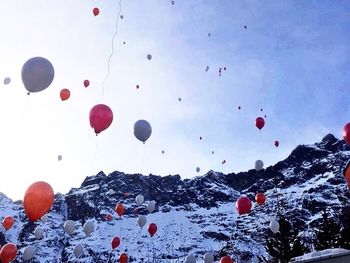 Hot air balloons flying in sky