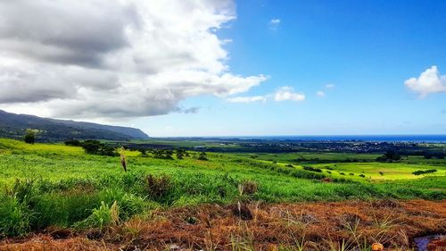 Scenic view of field against cloudy sky