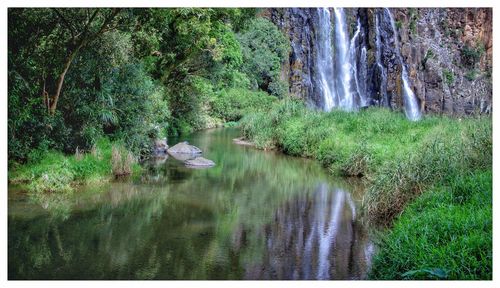 Scenic view of waterfall in forest