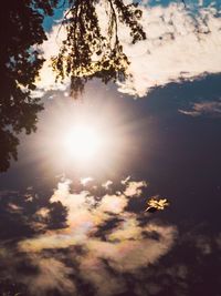 Low angle view of tree against bright sun