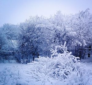 Snow covered trees on field against sky