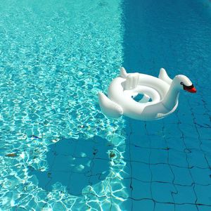 High angle view of swans on swimming pool