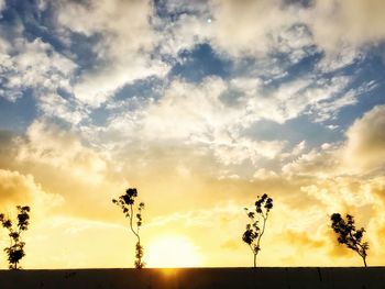 Low angle view of silhouette trees against sky during sunset