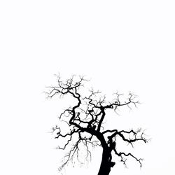Low angle view of bare trees against clear sky