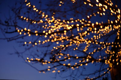 Low angle view of illuminated christmas lights against sky at night