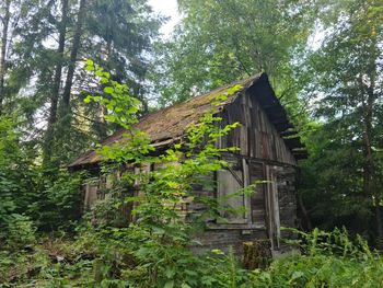 Low angle view of abandoned house in forest