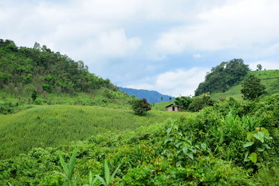 Scenic view of landscape against sky