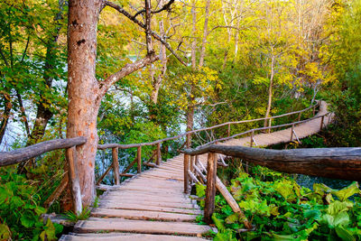 Wooden footbridge amidst trees in forest