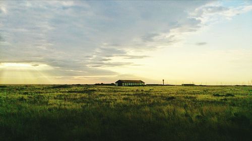 Scenic view of grassy field against sky at sunset