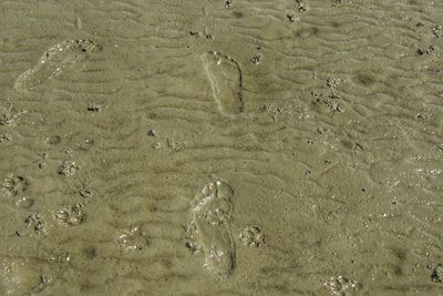 Full frame shot of rippled water