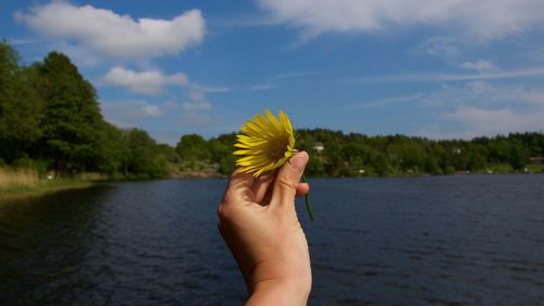 Cropped image of person hand holding yellow flower by lake against sky