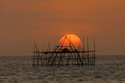 Silhouette cranes against sea during sunset