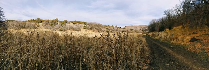 Scenic view of land against sky