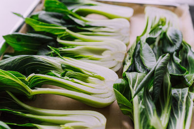 Green leafy bokchoy ready to roast in the oven