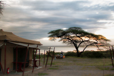 Trees on landscape against cloudy sky