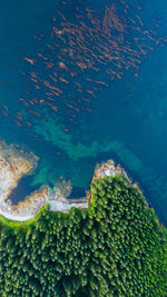 Aerial view of alaska coastline 